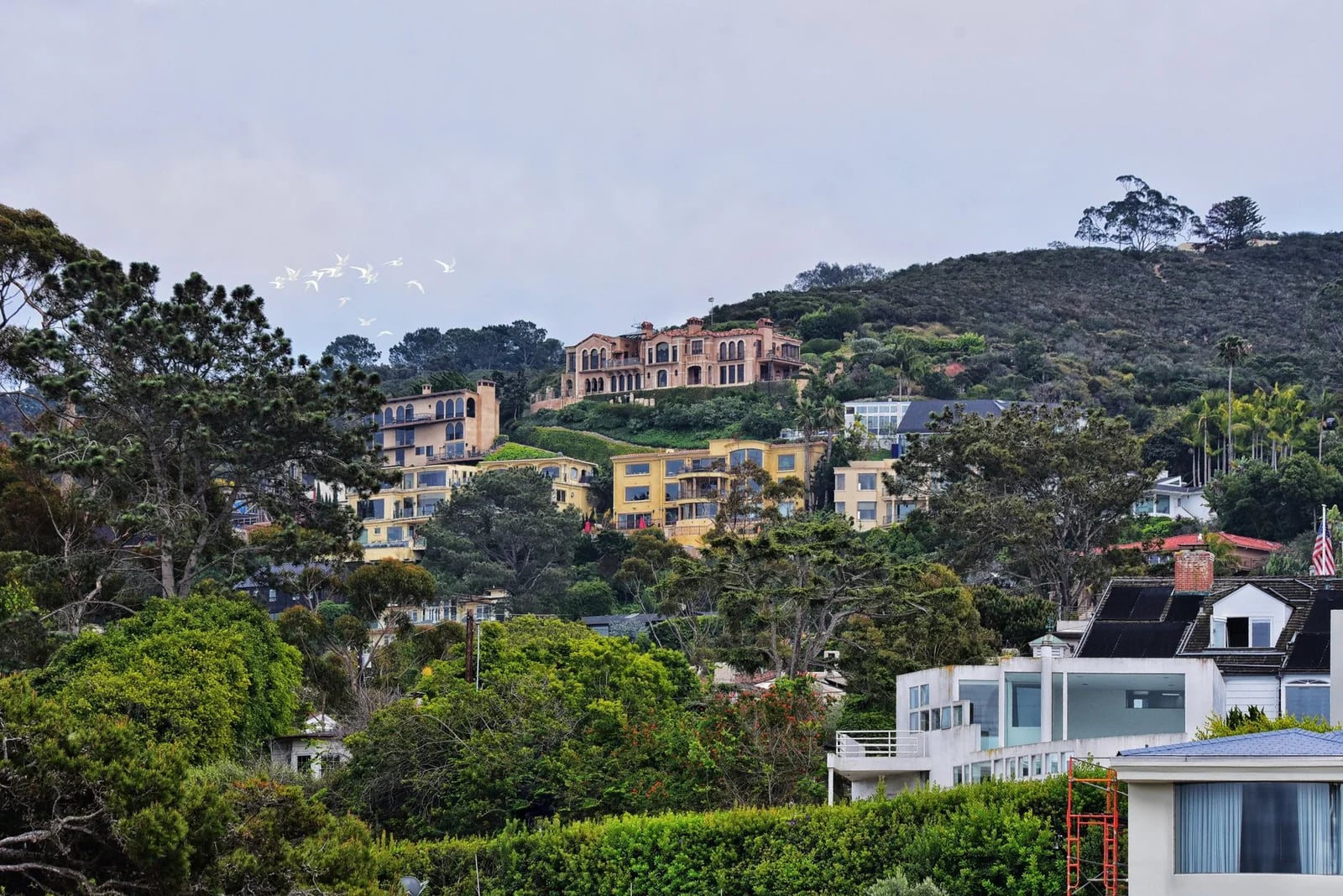 Charming hillside homes surrounded by lush greenery in San Diego, California.